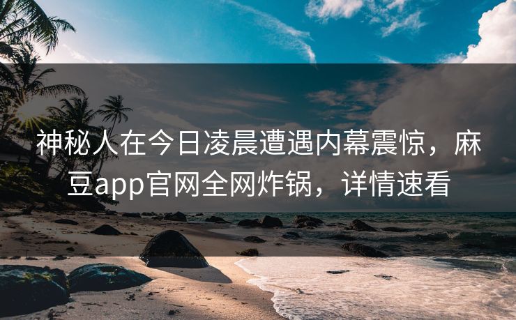 神秘人在今日凌晨遭遇内幕震惊，麻豆app官网全网炸锅，详情速看